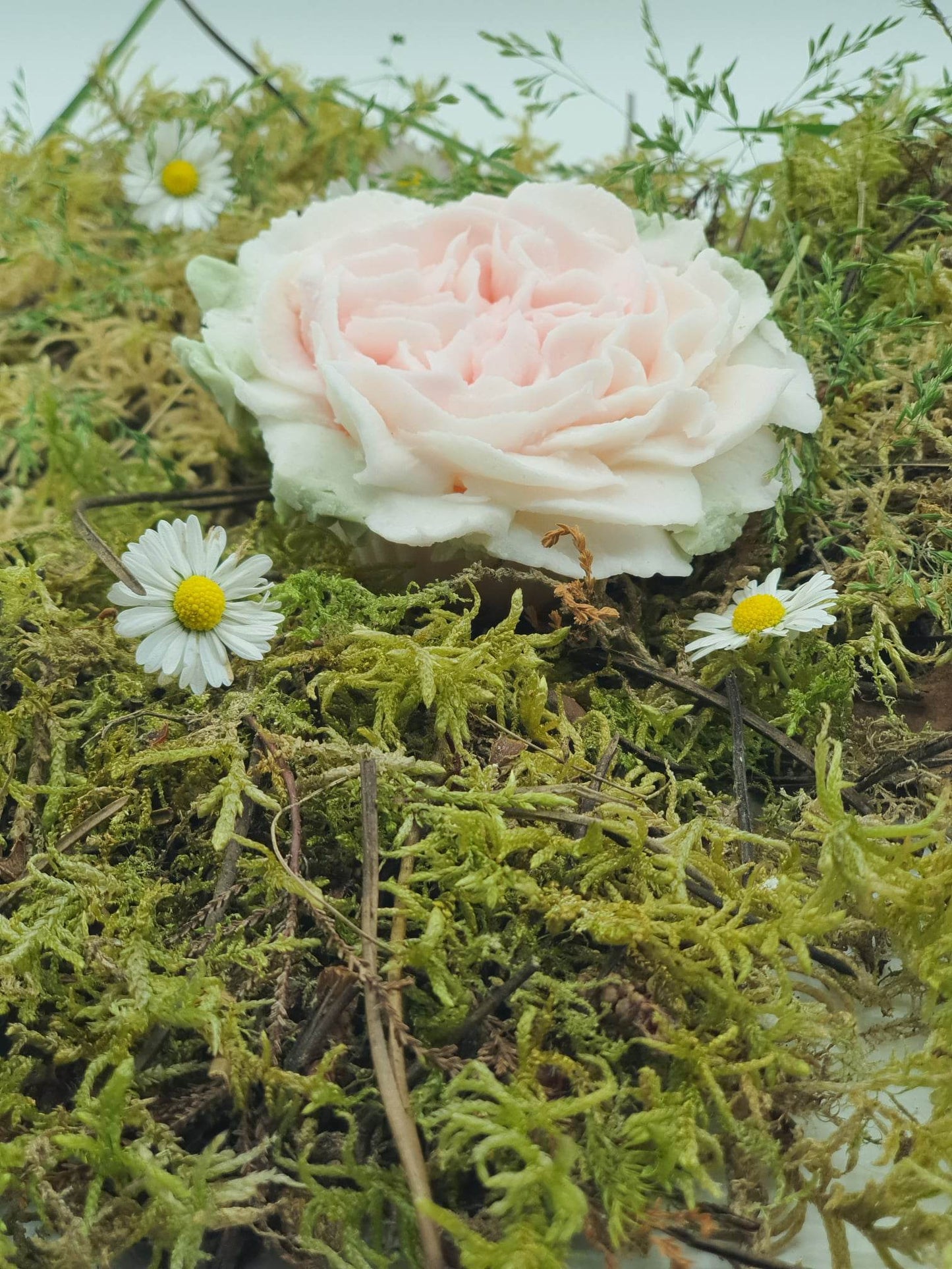 Fondant Rose Anglaise