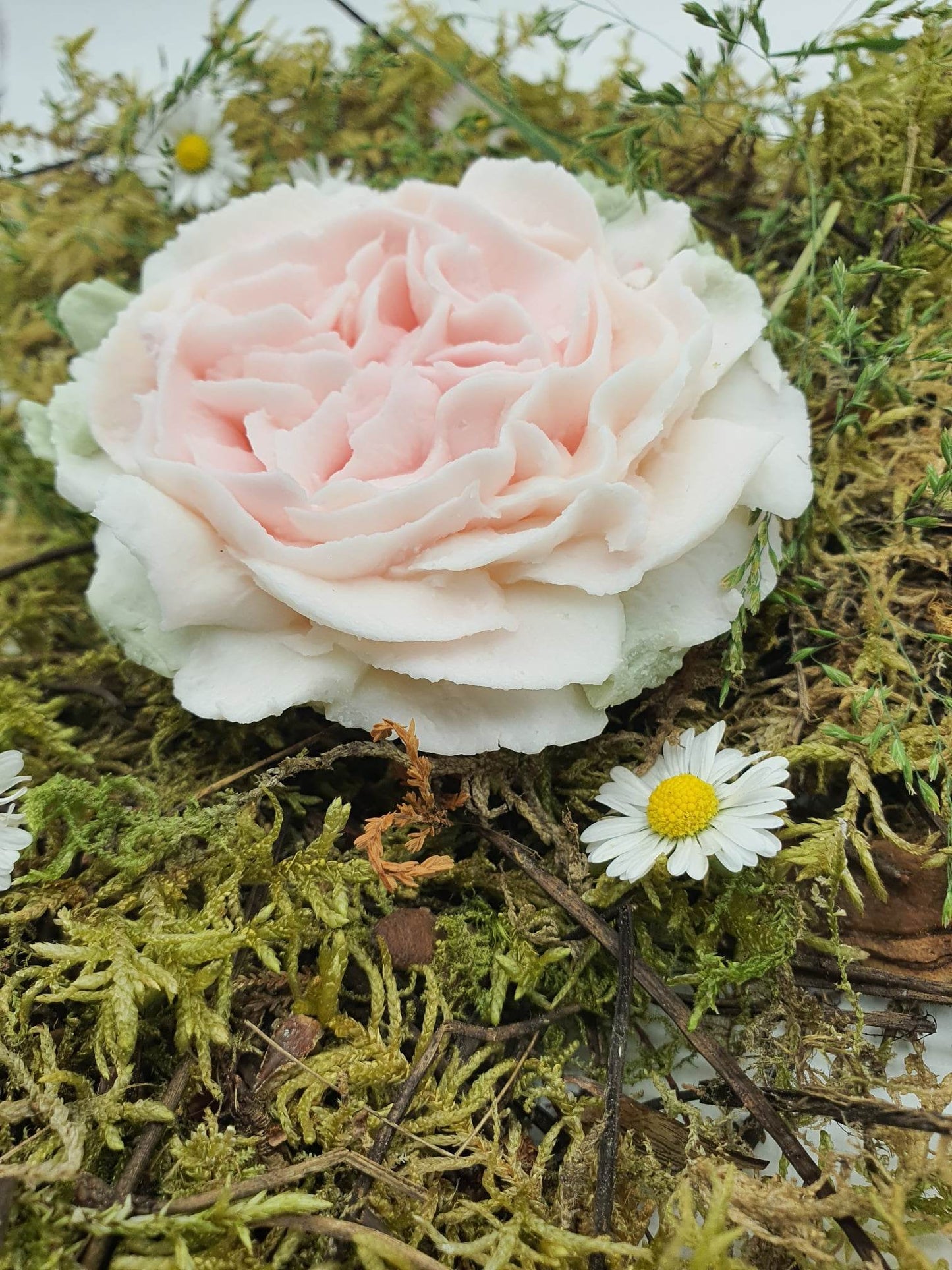 Fondant Rose Anglaise