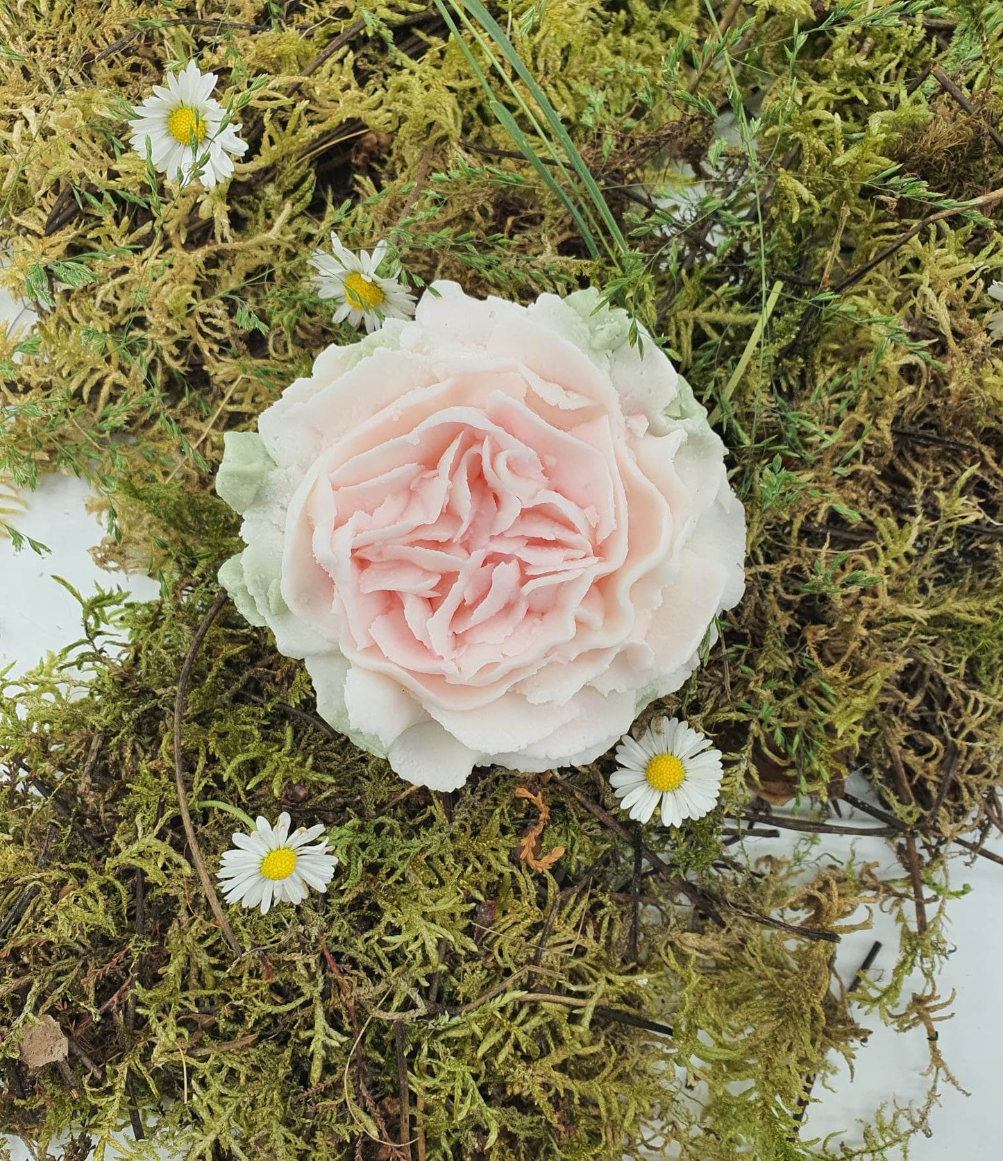 Fondant Rose Anglaise