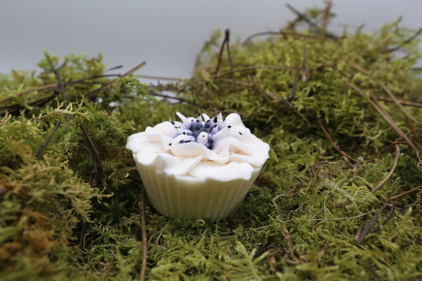 Fondant Anemone
