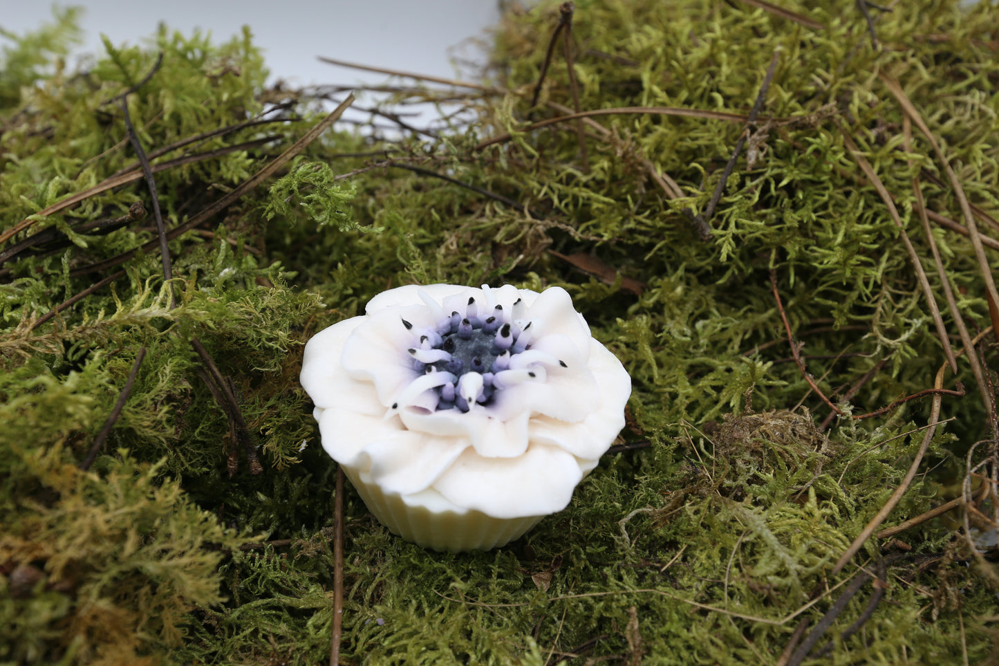 Fondant Anemone