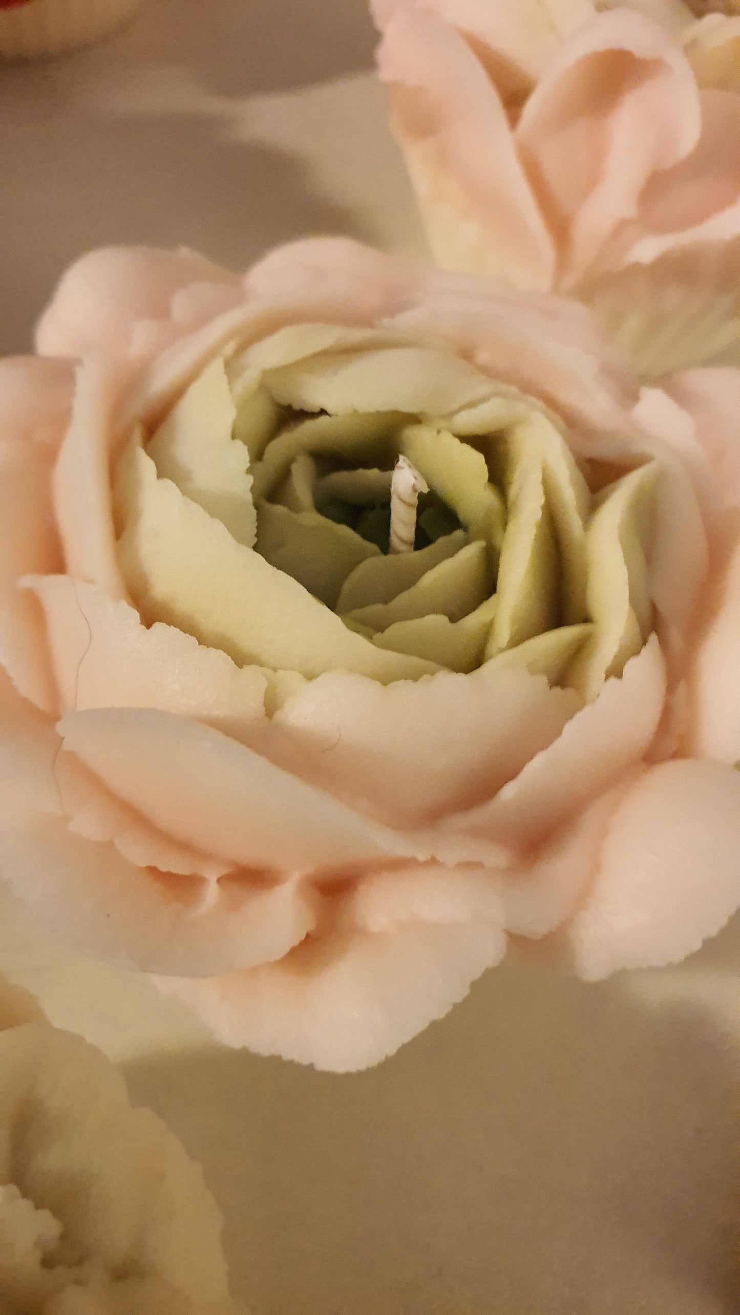 Bougie rose en dégradé