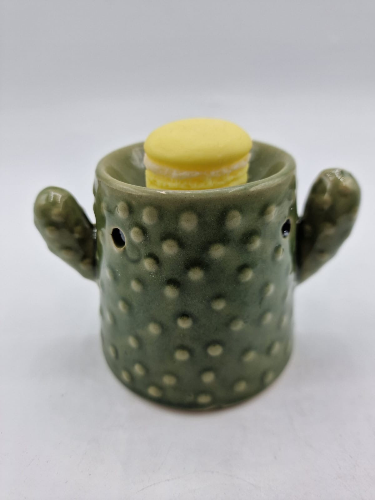 Brûle parfum décoratif – Cactus