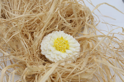 Bougie ou Fondant Gerbera Blanche