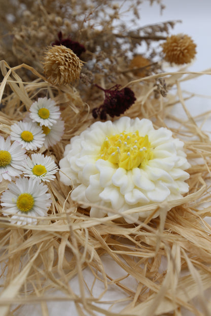 Bougie ou Fondant Gerbera Blanche